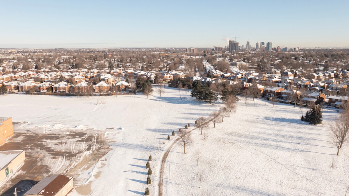 Mature tree-lined residential street in Northwood Park Brampton